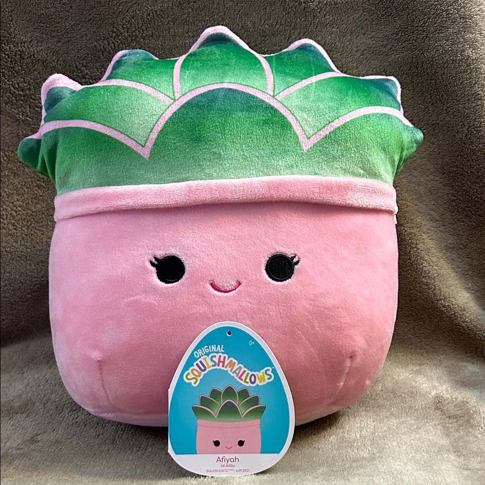 Afiyah Succulent Squishmallow